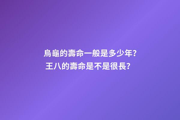 烏龜的壽命一般是多少年？ 王八的壽命是不是很長？-第1張-觀點-玄機派